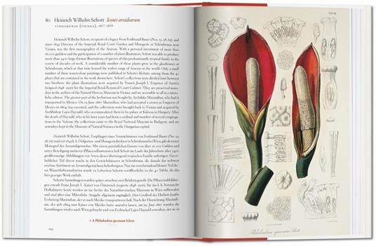 A garden Eden. Masterpieces of botanical illustration. Ediz. italiana, spagnola e portoghese - H. Walter Lack - 7