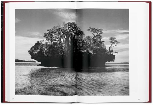 Sebastião Salgado. Genesi - 5