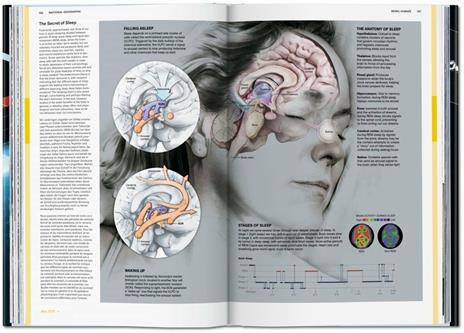 National Geographic infographics. Ediz. italiana, spagnola e portoghese - 4