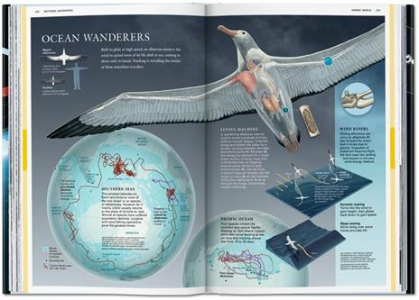 National Geographic infographics. Ediz. italiana, spagnola e portoghese - 6