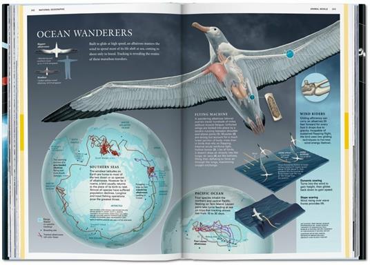 National Geographic infographics. Ediz. italiana, spagnola e portoghese - 6