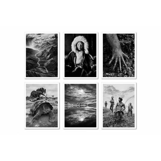 Sebastião Salgado. Genesis. Postcard set. Ediz. inglese, tedesca, spagnola e francese - 2