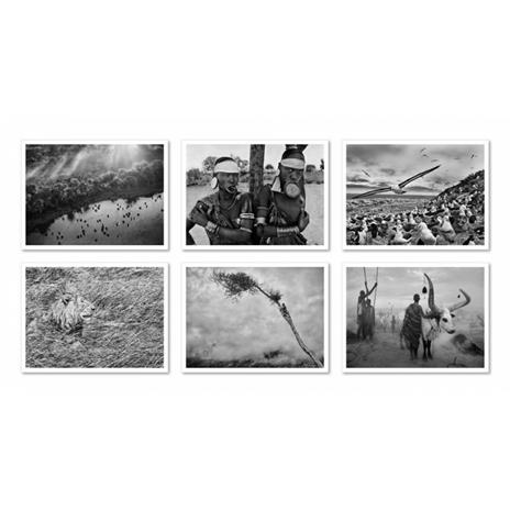 Sebastião Salgado. Genesis. Postcard set. Ediz. inglese, tedesca, spagnola e francese - 4