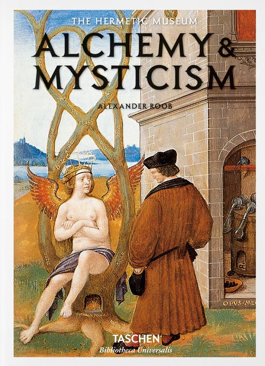 Alchemy & mysticism. Ediz. a colori - Alexander Roob - copertina