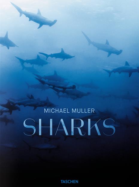 Michael Muller. Sharks. Ediz. inglese - Philippe jr. Cousteau,Alison Kock,Arty Nelson - copertina