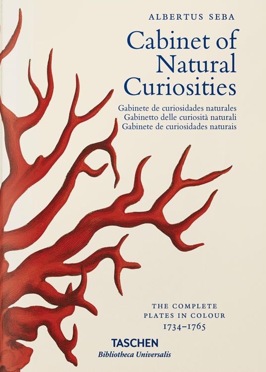 Albertus Seba. Cabinet of natural curiosities. Ediz. inglese, francese e tedesca - Irmgard Musch,Jes Rust,Rainer Willmann - copertina