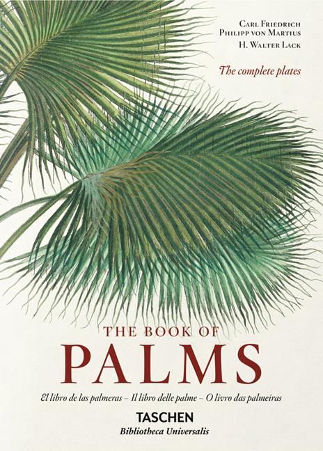 C. F. P. von Martius. The book of palms. Ediz. italiana, spagnola e portoghese - H. Walter Lack - copertina