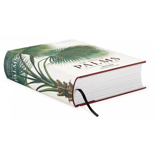 C. F. P. von Martius. The book of palms. Ediz. italiana, spagnola e portoghese - H. Walter Lack - 2