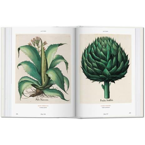 Basilius Besler. Florilegium. The book of plants. Ediz. inglese - Klaus W. Littger,Werner Dressendörfer - 4