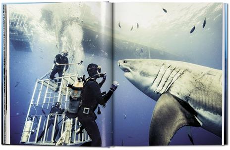 Michael Muller. Sharks. Ediz. inglese - Philippe jr. Cousteau,Alison Kock,Arty Nelson - 2