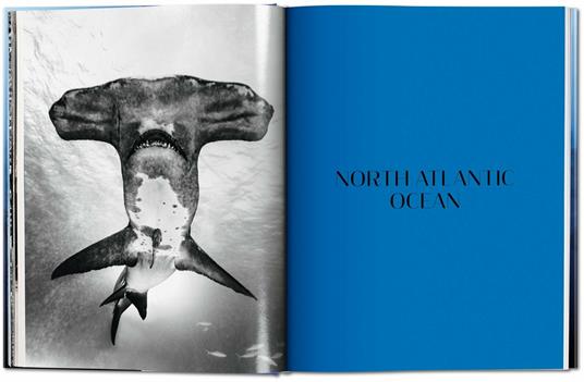 Michael Muller. Sharks. Ediz. inglese - Philippe jr. Cousteau,Alison Kock,Arty Nelson - 5
