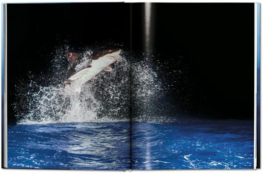 Michael Muller. Sharks. Ediz. inglese - Philippe jr. Cousteau,Alison Kock,Arty Nelson - 8
