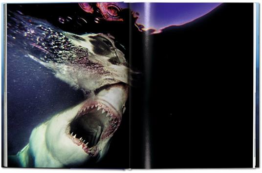 Michael Muller. Sharks. Ediz. inglese - Philippe jr. Cousteau,Alison Kock,Arty Nelson - 9
