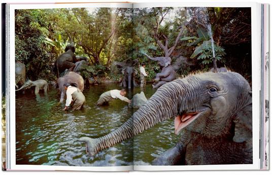 Walt Disney’s Disneyland. Ediz. inglese - Chris Nichols,Charlene Nichols - 3