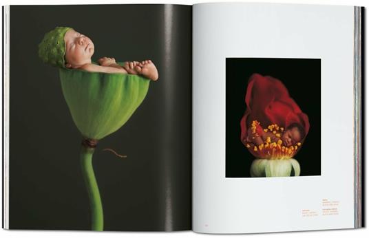 Small world. Ediz. italiana, spagnola e portoghese - Anne Geddes,Reuel Golden - 6