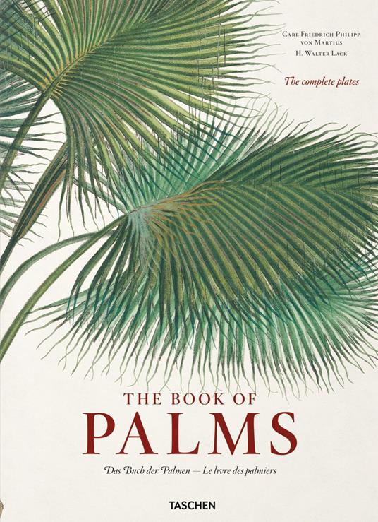 C. F. P. von Martius. The book of palms. Ediz. inglese, francese e tedesca - H. Walter Lack - copertina