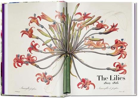 Redouté. Book of flowers. Ediz. italiana, inglese e spagnola. 40th Anniversary Edition - H. Walter Lack - 2