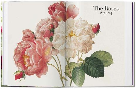 Redouté. Book of flowers. Ediz. italiana, inglese e spagnola. 40th Anniversary Edition - H. Walter Lack - 4