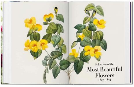 Redouté. Book of flowers. Ediz. italiana, inglese e spagnola. 40th Anniversary Edition - H. Walter Lack - 6