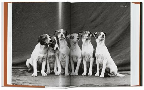 The dog in photography 1839-today. Ediz. inglese, francese e tedesca - Raymond Merritt,Miles Barth - 2