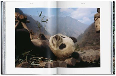 National geographic. Around the world in 125 years. Asia & Oceania. Ediz. illustrata - 6