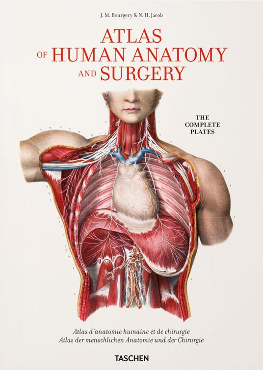 Bourgery. Atlas of human anatomy and surgery. Ediz. inglese, francese e tedesca - Jean M. Le Minor,Henri Sick - copertina
