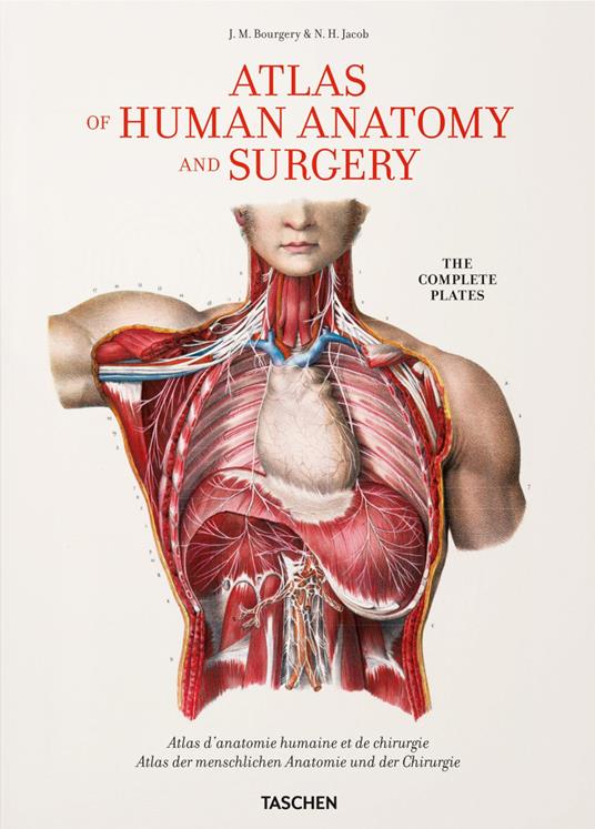 Atlas of human anatomy and surgery. Ediz. italiana, portoghese e spagnola - Jean-Baptiste Bourgery,Nicolas H. Jacob - copertina
