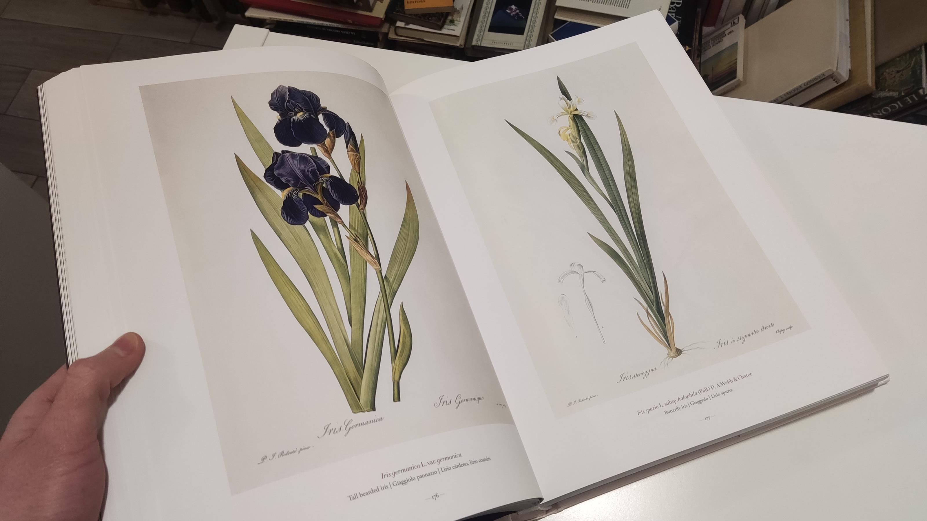 Pierre-Joseph Redouté. The book of flowers. Ediz. italiana, spagnola e portoghese
