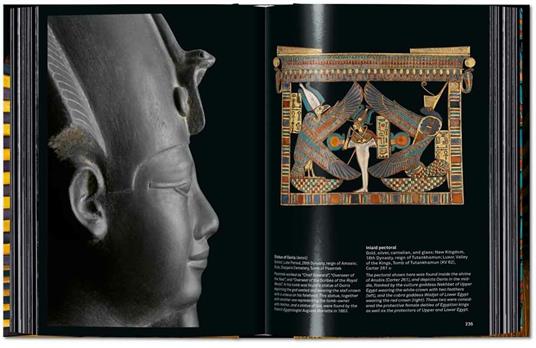 King Tut. The journey through the underworld. 40th Anniversary Edition. Ediz. illustrata - Sandro Vannini - 4
