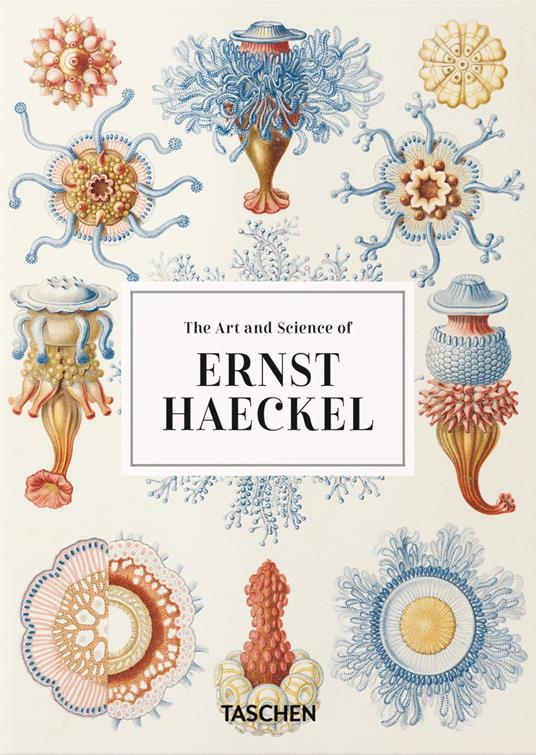 The art and science of Ernst Haeckel. Ediz. inglese. 40th Anniversary Edition - Rainer Willmann,Julia Voss - copertina