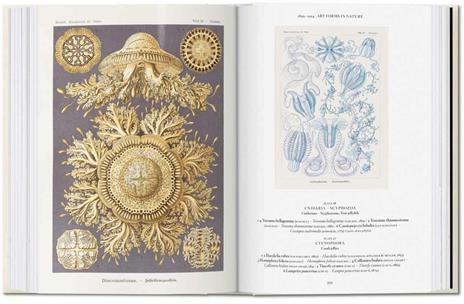 The art and science of Ernst Haeckel. Ediz. inglese. 40th Anniversary Edition - Rainer Willmann,Julia Voss - 7