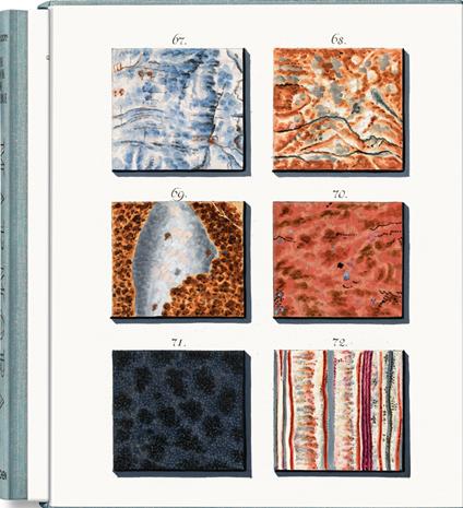 Jan Christiaan Sepp. The Book of Marble. Ediz. inglese, francese e tedesca - Geert-Jan Koot - copertina