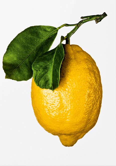 The gourmand's lemon. A collection of stories & recipes - copertina
