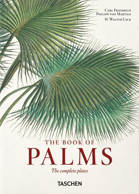 Martius. The Book of Palms. 40th Ed.. Ediz. multilingue - H. Walter Lack,Carl Friedrich Philipp Martius von - copertina