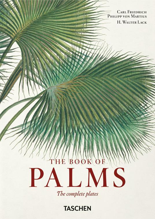 The book of palms. 45th Ed. Ediz. inglese, italiana e spagnola - H. Walter Lack,Carl Friedrich Philipp Martius von - copertina