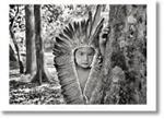 Sebastião Salgado. Amazônia. Poster «Yawanawa Girl»