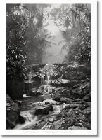 Sebastião Salgado. Amazônia. Poster «Creek»