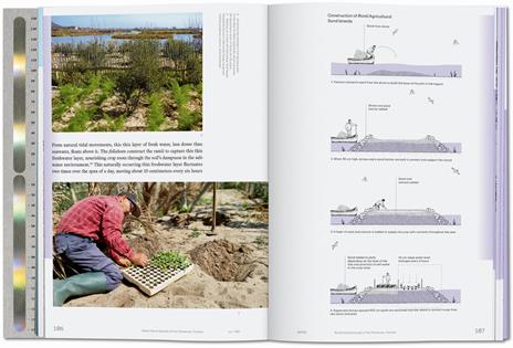 Julia Watson. Lo—TEK. Water. A field guide for TEKnology. Ediz. inglese - Julia Watson,Piera Wolf,Stephanie Specht - 2