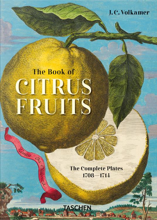 J. C. Volkamer. The book of citrus fruits. 45th Ed. Ediz. inglese, francese, tedesca - Iris Lauterbach - copertina
