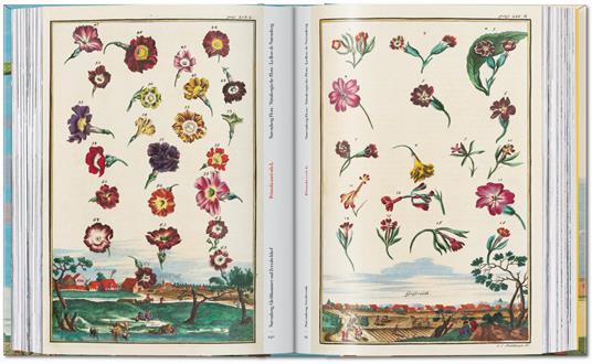 J. C. Volkamer. The book of citrus fruits. 45th Ed. Ediz. inglese, francese, tedesca - Iris Lauterbach - 2