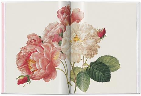 Redouté. Roses. Ediz. inglese, francese e tedesca - 3