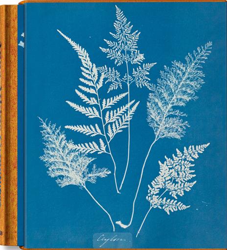 Anna Atkins. Cyanotypes. Ediz. inglese, francese e tedesca - copertina