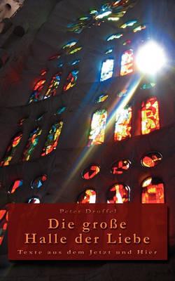 Die große Halle der Liebe: Texte aus dem Jetzt und Hier - Peter Druffel - cover