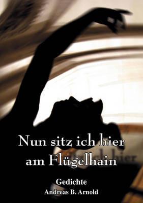 Nun sitz ich hier am Flügelhain: Gedichte - Andreas B Arnold - cover