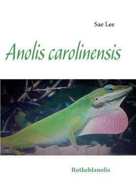 Anolis carolinensis: Rotkehlanolis - Sae Lee - cover