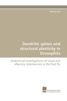 Dendritic Spines and Structural Plasticity in Drosophila