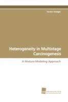Heterogeneity in Multistage Carcinogenesis