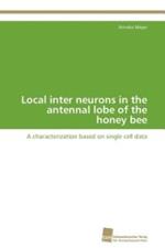 Local inter neurons in the antennal lobe of the honey bee