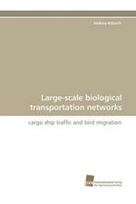 Large-scale biological transportation networks