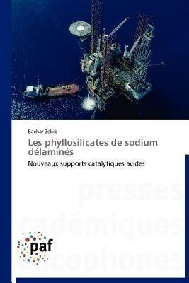 Les Phyllosilicates de Sodium Delamines - Zebib-B - cover